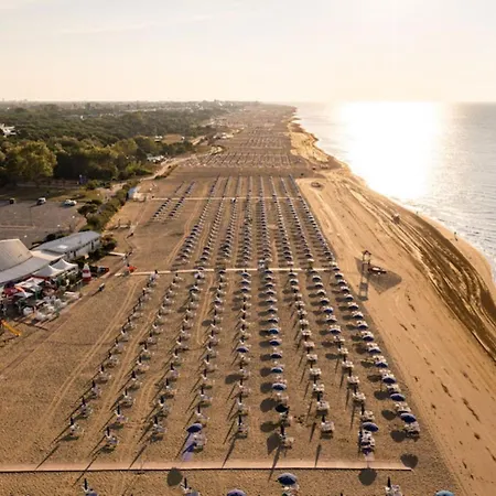 Bright With A Lovely Balcony *